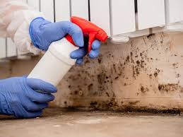 Best Real Estate Mold Inspection  in Prestbury, IL